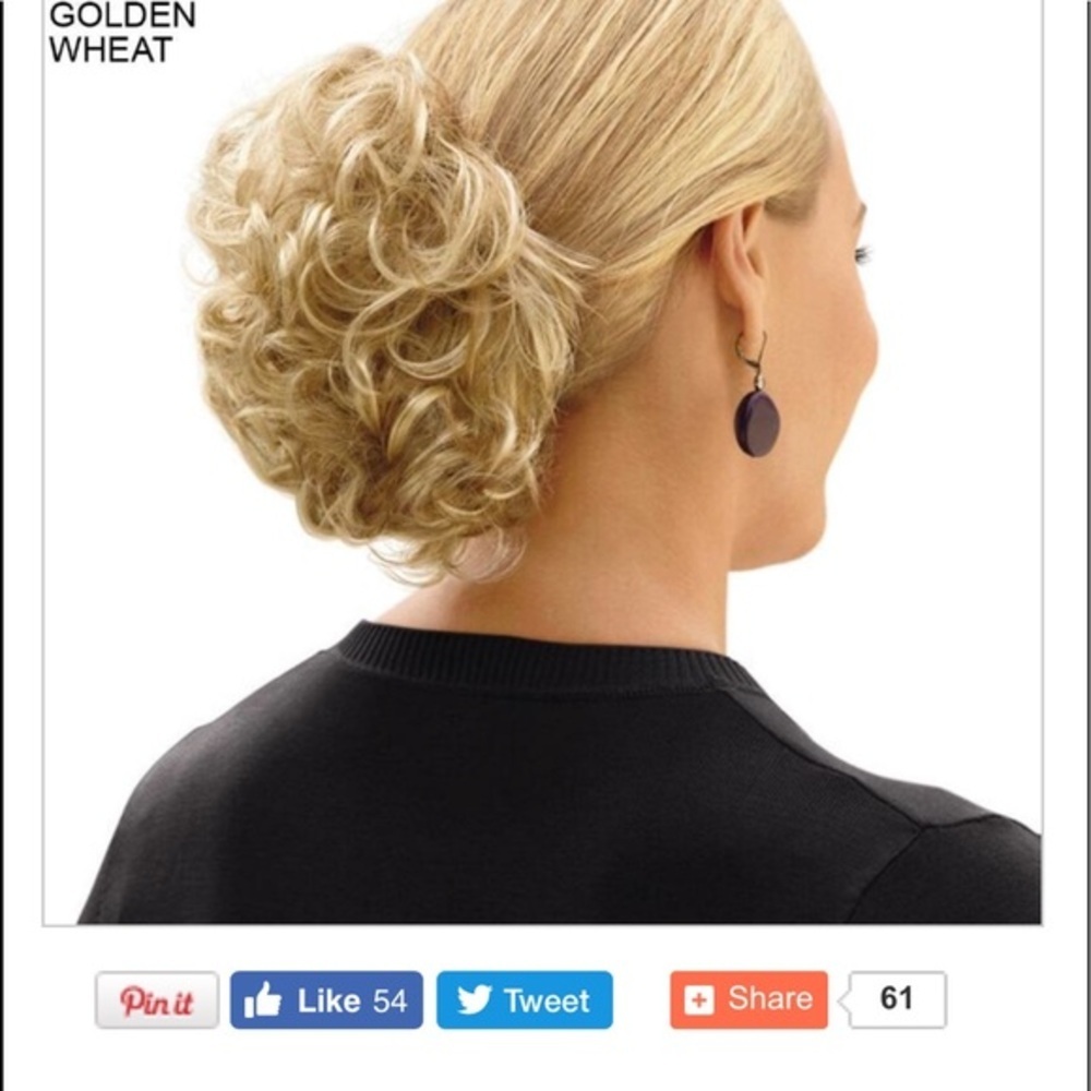 CHIGNON CLIP